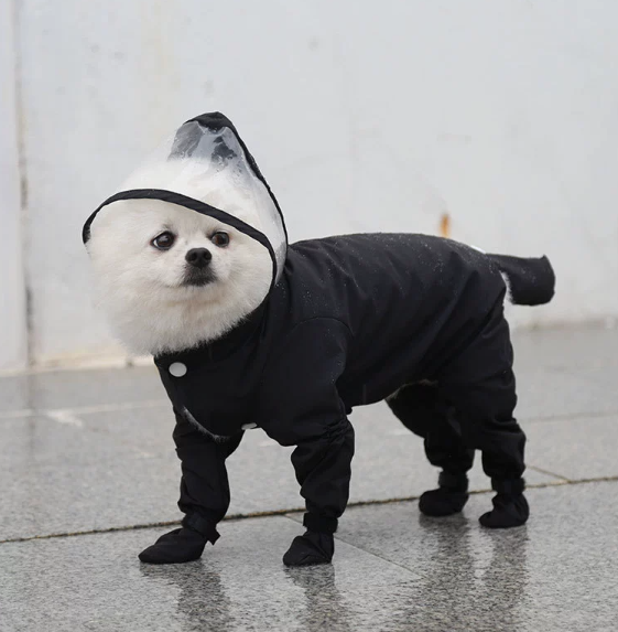 🐶 Pláštenka pre psov do dažďa – suchý a šťastný maznáčik! 🌧️