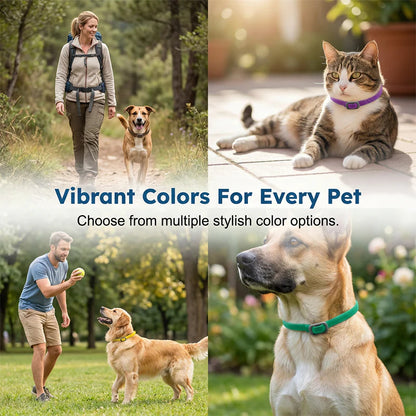 🎉🐶🐱 – Obojok na rastlinnej báze proti blchám a kliešťom 🌿 🐕