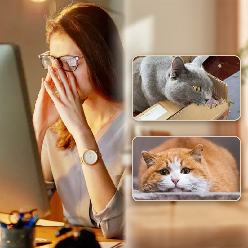 🐱✨ Interaktívna loptička pre mačky s pružinou – zábava bez batérií