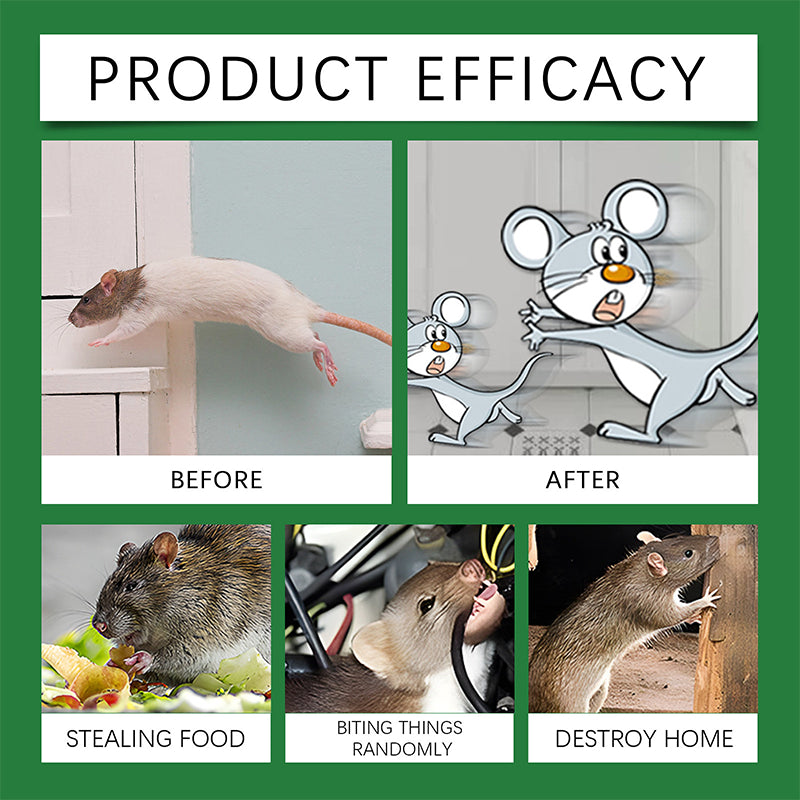 🐭 Účinná ochrana pred myšami a potkanmi – prirodzenou cestou! 🌿