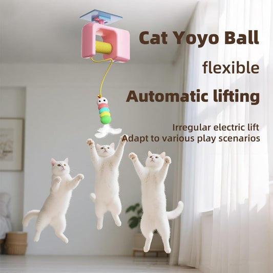 【🐱 Umožnite mačkám lepší pohyb】Stropná podstielka pre mačky AutoBounce USB-C