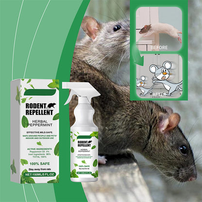 🐭 Účinná ochrana pred myšami a potkanmi – prirodzenou cestou! 🌿