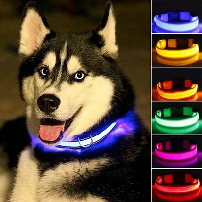 【🐾 Vaše domáce zvieratá sú v bezpečí!】Svietiaci obojok pre domáce zvieratá