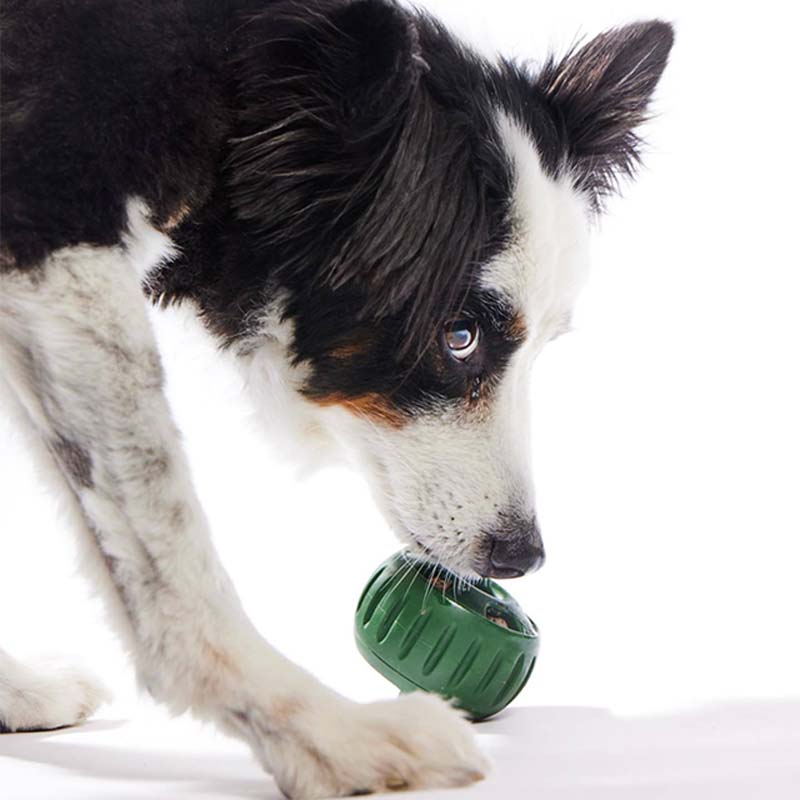 🐶 Hračka pre psov s dávkovačom pamlskov a formičkou s podnosom 🐕💕