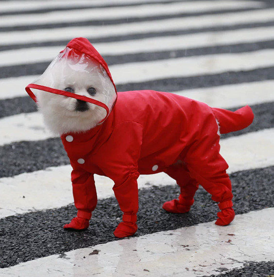 🐶 Pláštenka pre psov do dažďa – suchý a šťastný maznáčik! 🌧️
