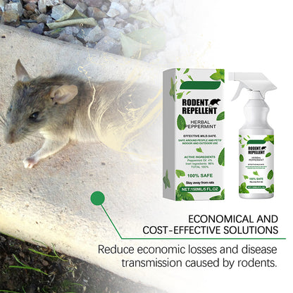 🐭 Účinná ochrana pred myšami a potkanmi – prirodzenou cestou! 🌿