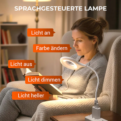 🔥Kúp 1 získaj 1 zadarmo🔥Hlasovo ovládaná LED USB lampa