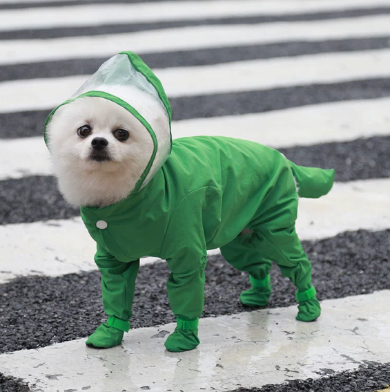 🐶 Pláštenka pre psov do dažďa – suchý a šťastný maznáčik! 🌧️