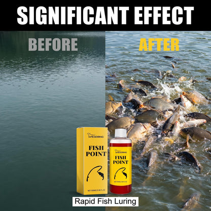 🎣 Lákadlá na ryby – viac záberov na každom výlete! 🌟