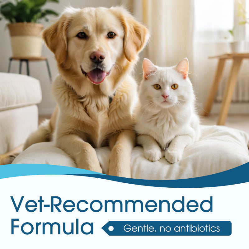🌿 Čistič uší pre psov a mačky – úľava od svrbenia a zápachu! 🐶🐱