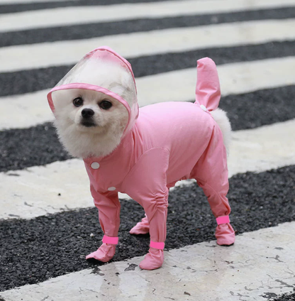 🐶 Pláštenka pre psov do dažďa – suchý a šťastný maznáčik! 🌧️