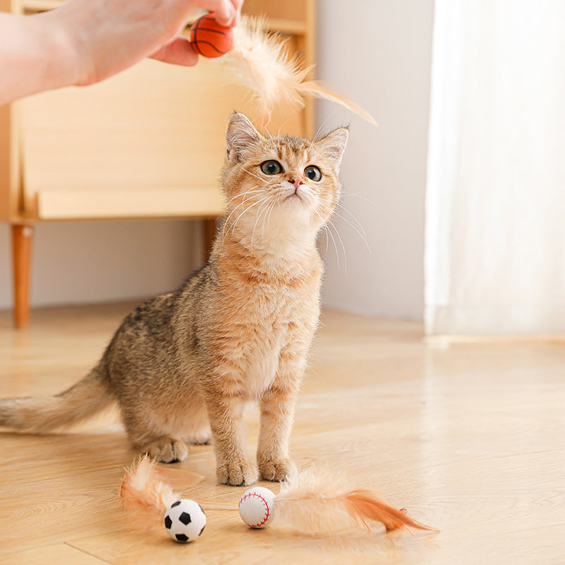 🐱✨ Interaktívna loptička pre mačky s pružinou – zábava bez batérií