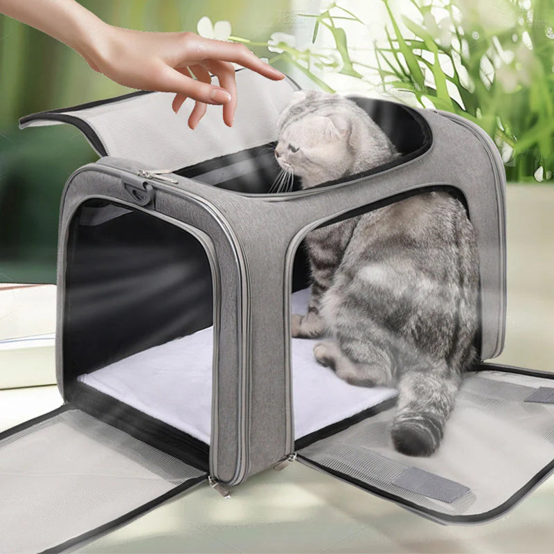 🐾🌞Veľká skladateľná sieťová taška na prepravu mačiek