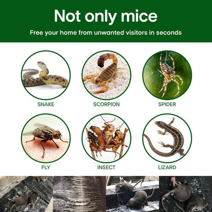 🔥1+1 zadarmo🔥2026 Veľká lepivá pasca na myši🐁